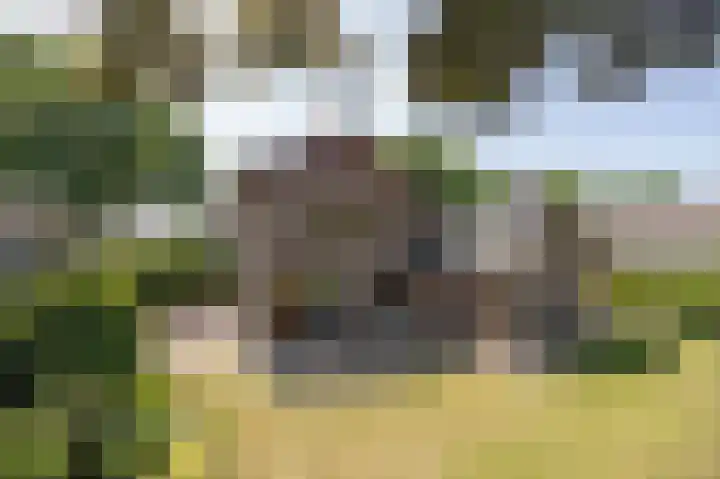 Achter de Molen 37 Etten-Leur thumbnail 32