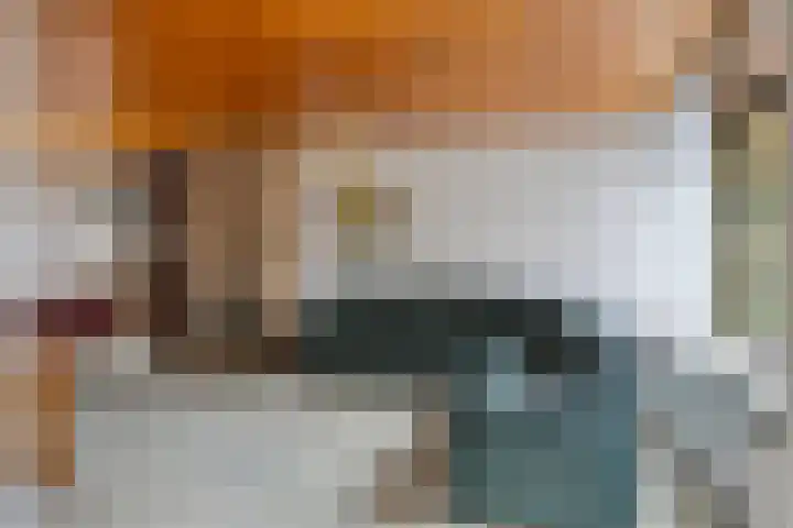Achter de Molen 60 Etten-Leur thumbnail 7