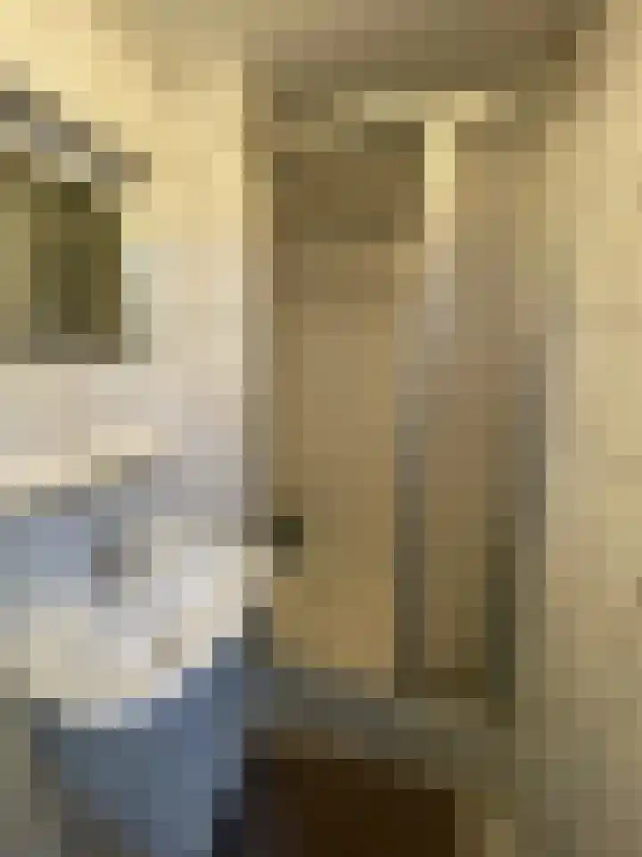 Achter de Molens Maastricht thumbnail 6