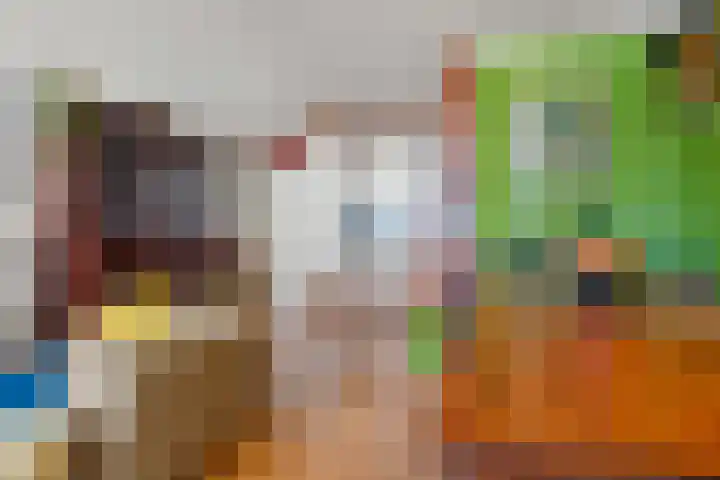 Achter de Oranjerie 17 Roermond thumbnail 25