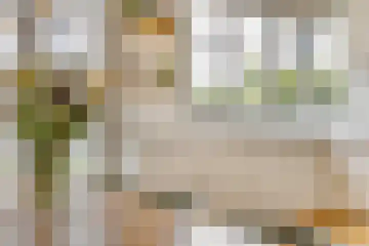 Achter de oude Kazerne 1 Maastricht thumbnail 17