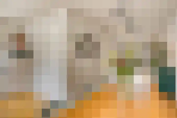 Achter de oude Kazerne 1 Maastricht thumbnail 18