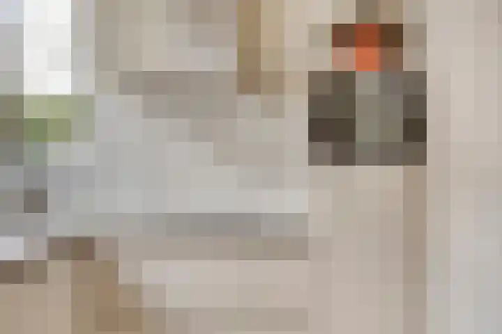 Achter de oude Kazerne 1 Maastricht thumbnail 20