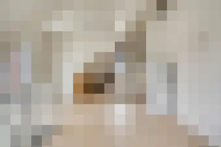 Achter de oude Kazerne 1 Maastricht thumbnail 33