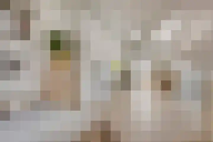 Achter de oude Kazerne 1 Maastricht thumbnail 35