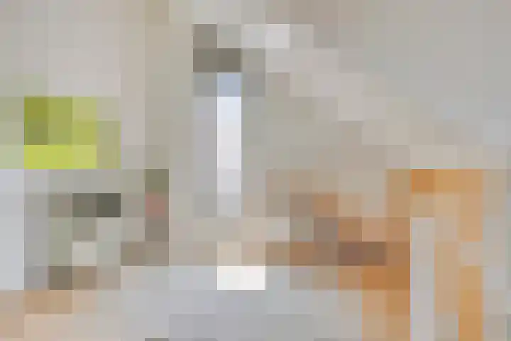 Achter de oude Kazerne 1 Maastricht thumbnail 36