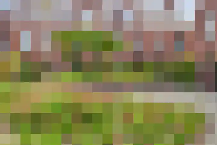 Achter de oude Kazerne 1 Maastricht thumbnail 46