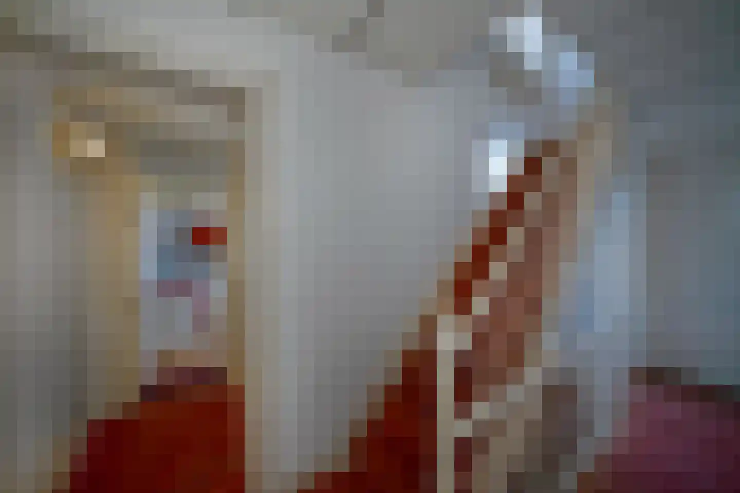 Achter de oude Minderbroeders 20 Maastricht thumbnail 16