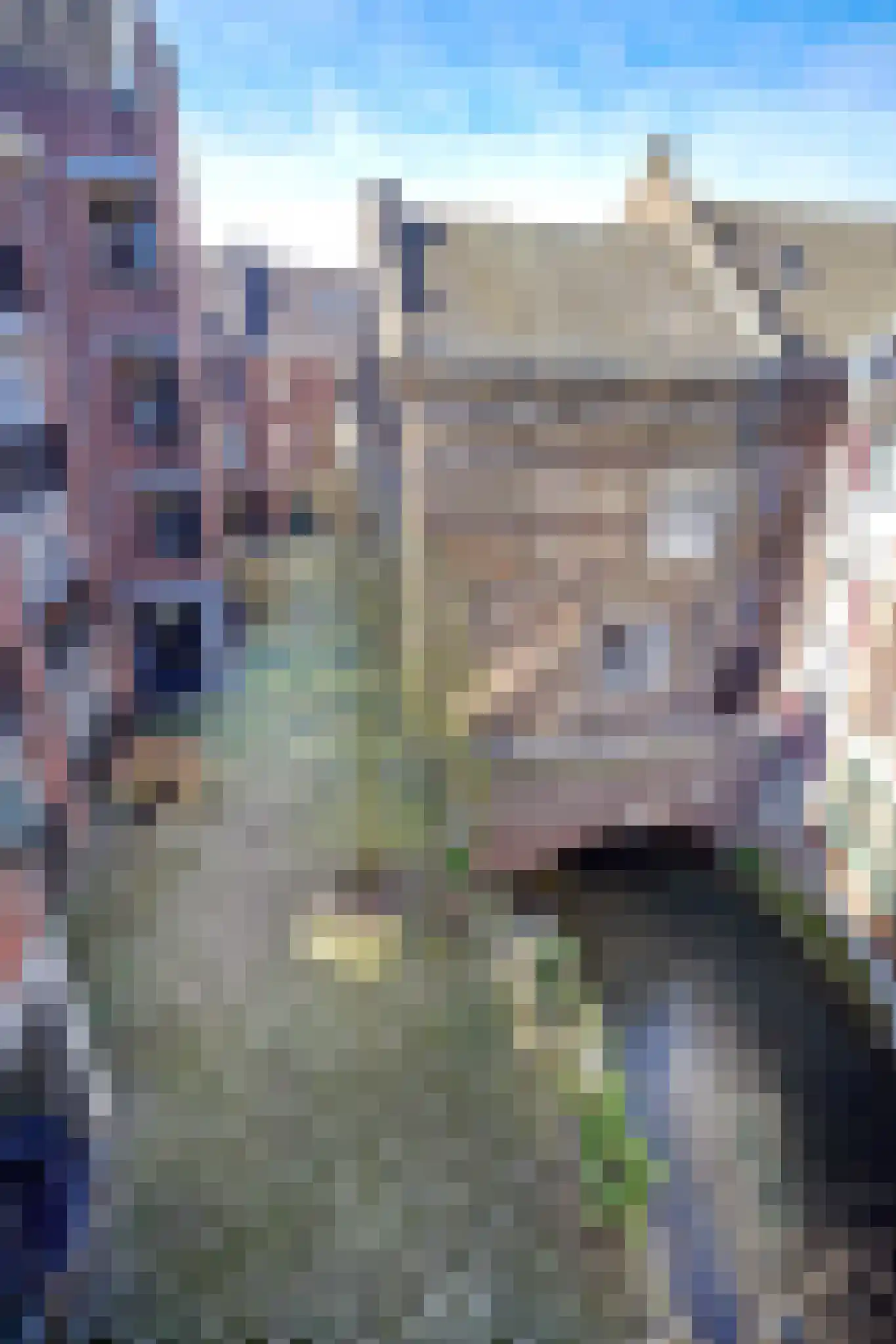 Achter de oude Minderbroeders 20 Maastricht thumbnail 22
