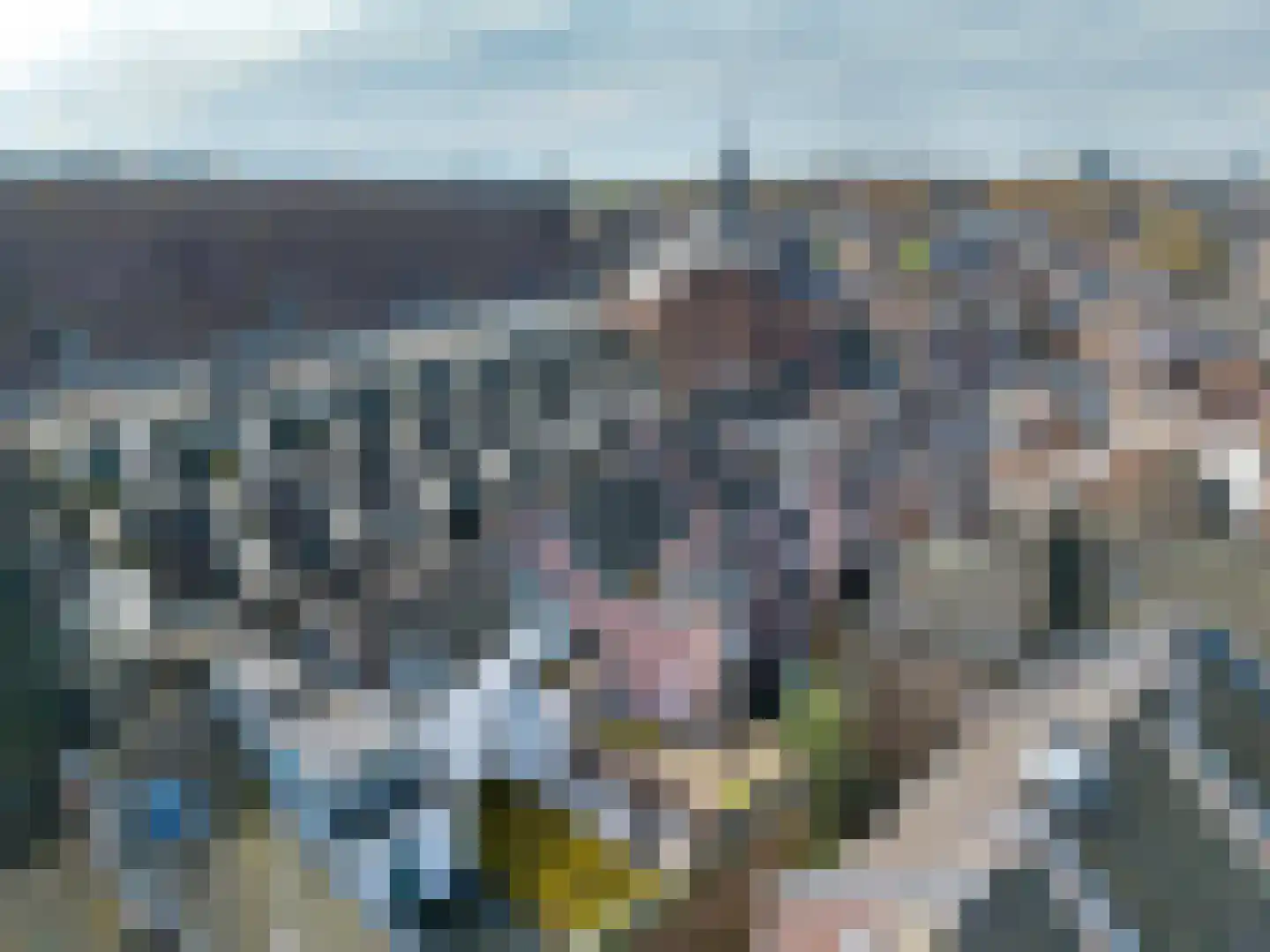 Achter de oude Minderbroeders 20 Maastricht thumbnail 6