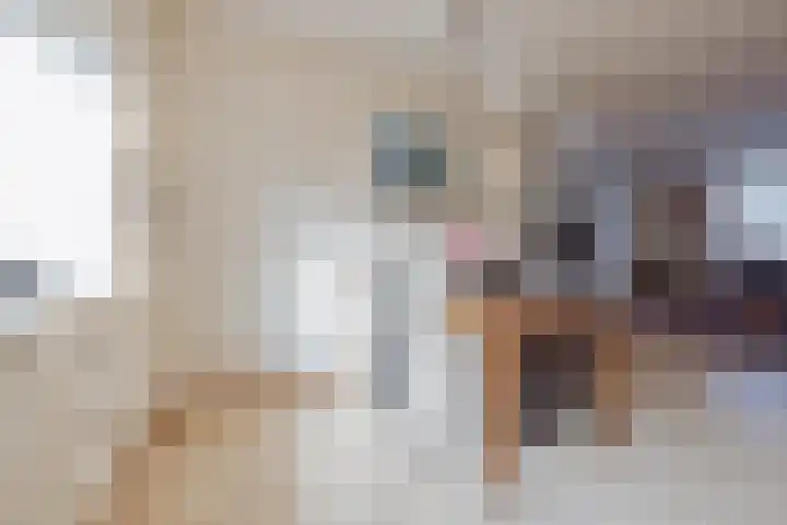 Achter de Pastorie 3 Melderslo thumbnail 16