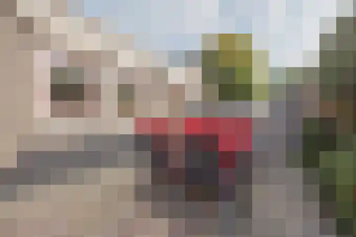 Achter de Pastorie 3 Melderslo thumbnail 32