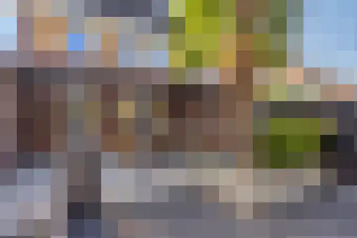 Achter de Pastorie 35 Melderslo thumbnail 30