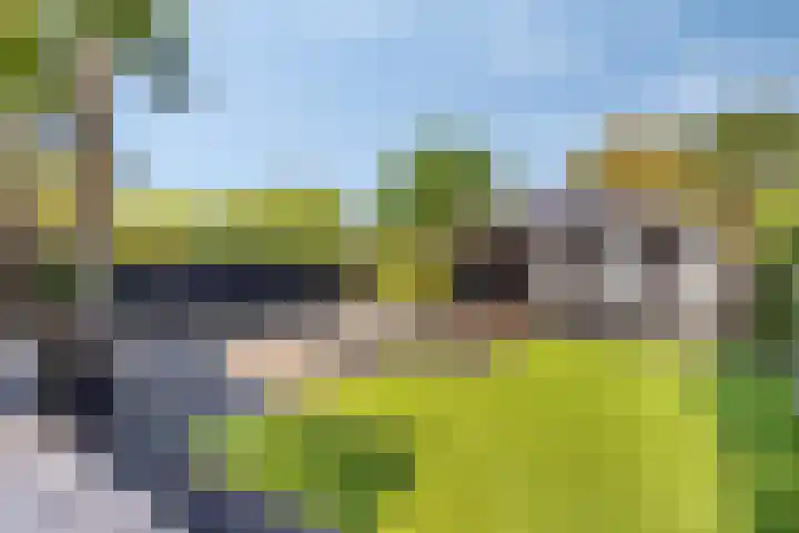 Achter de Pastorie 35 Melderslo thumbnail 32