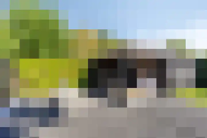 Achter de Pastorie 35 Melderslo thumbnail 33