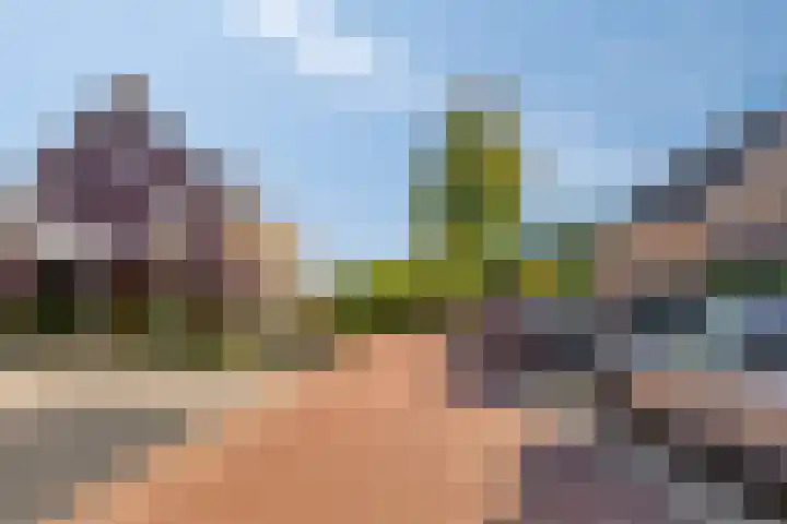 Achter de Pastorie 35 Melderslo thumbnail 37