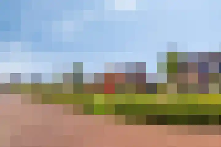 Achter de Pastorie 35 Melderslo thumbnail 38