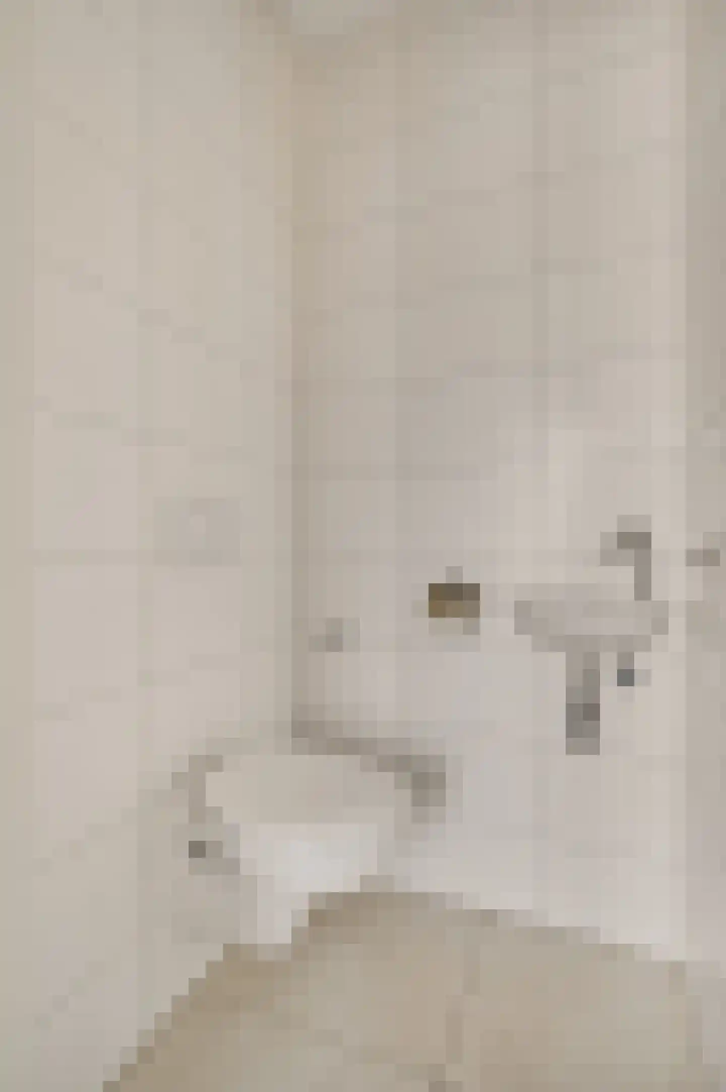 Achter de Pastorie 9 Melderslo thumbnail 14