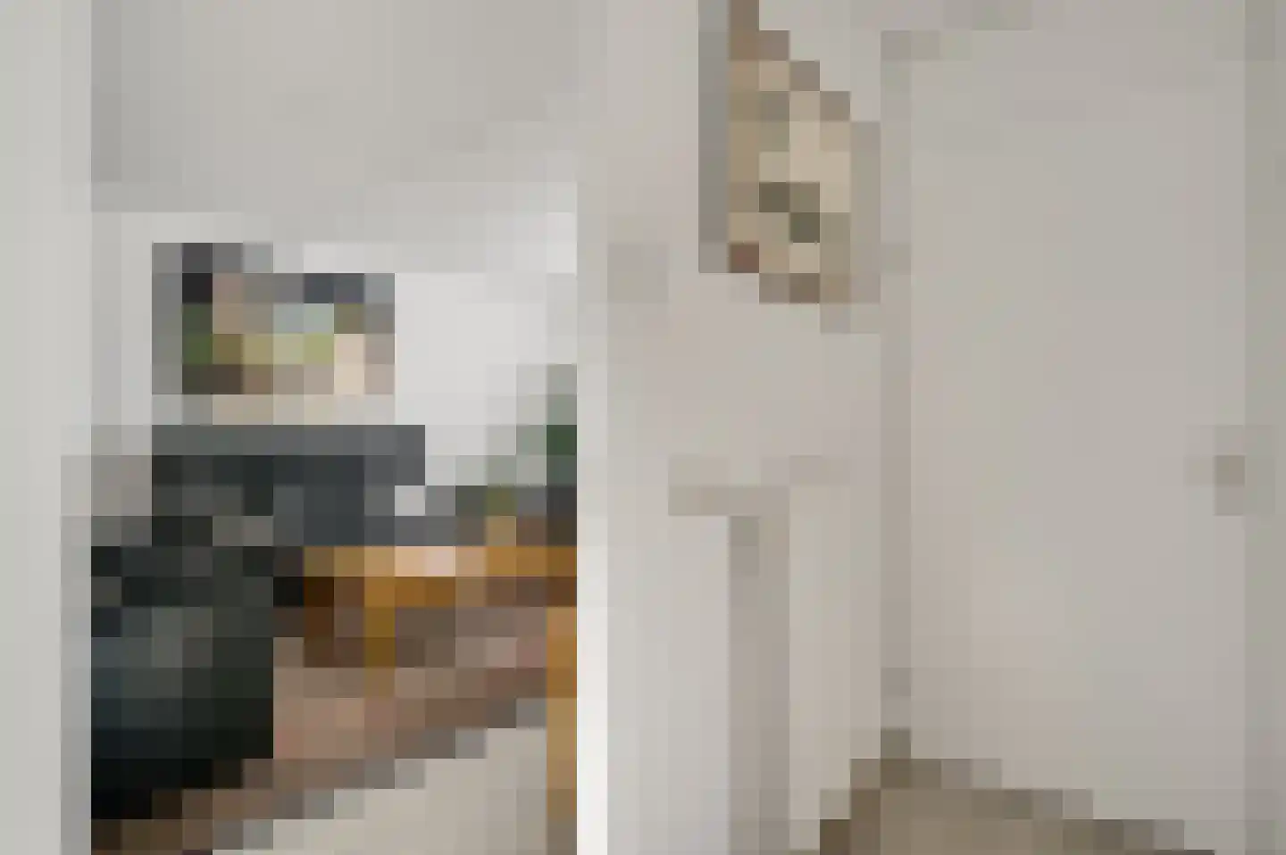 Achter de Smaalbrug 4 Horst thumbnail 12