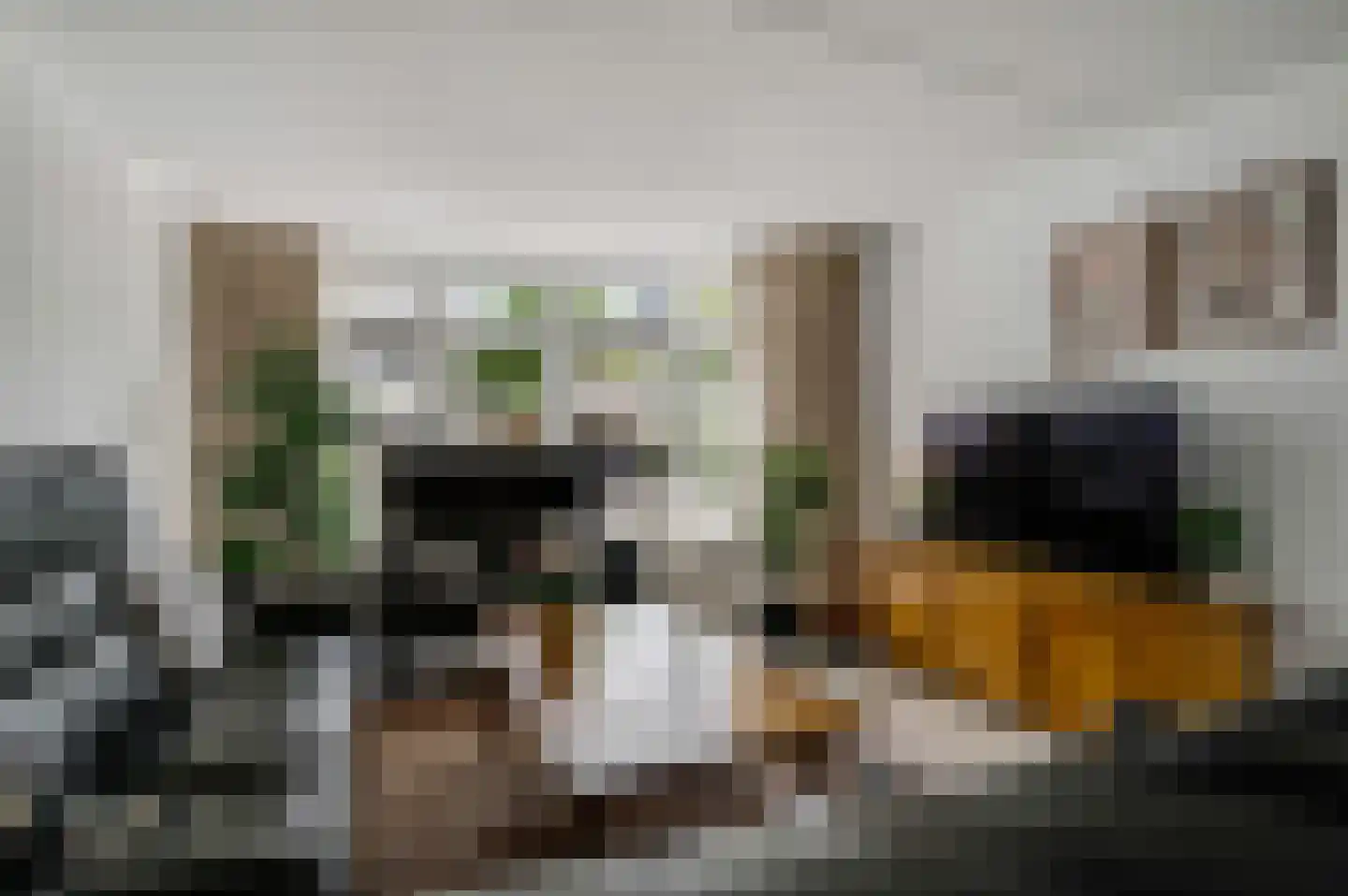 Achter de Smaalbrug 4 Horst thumbnail 16