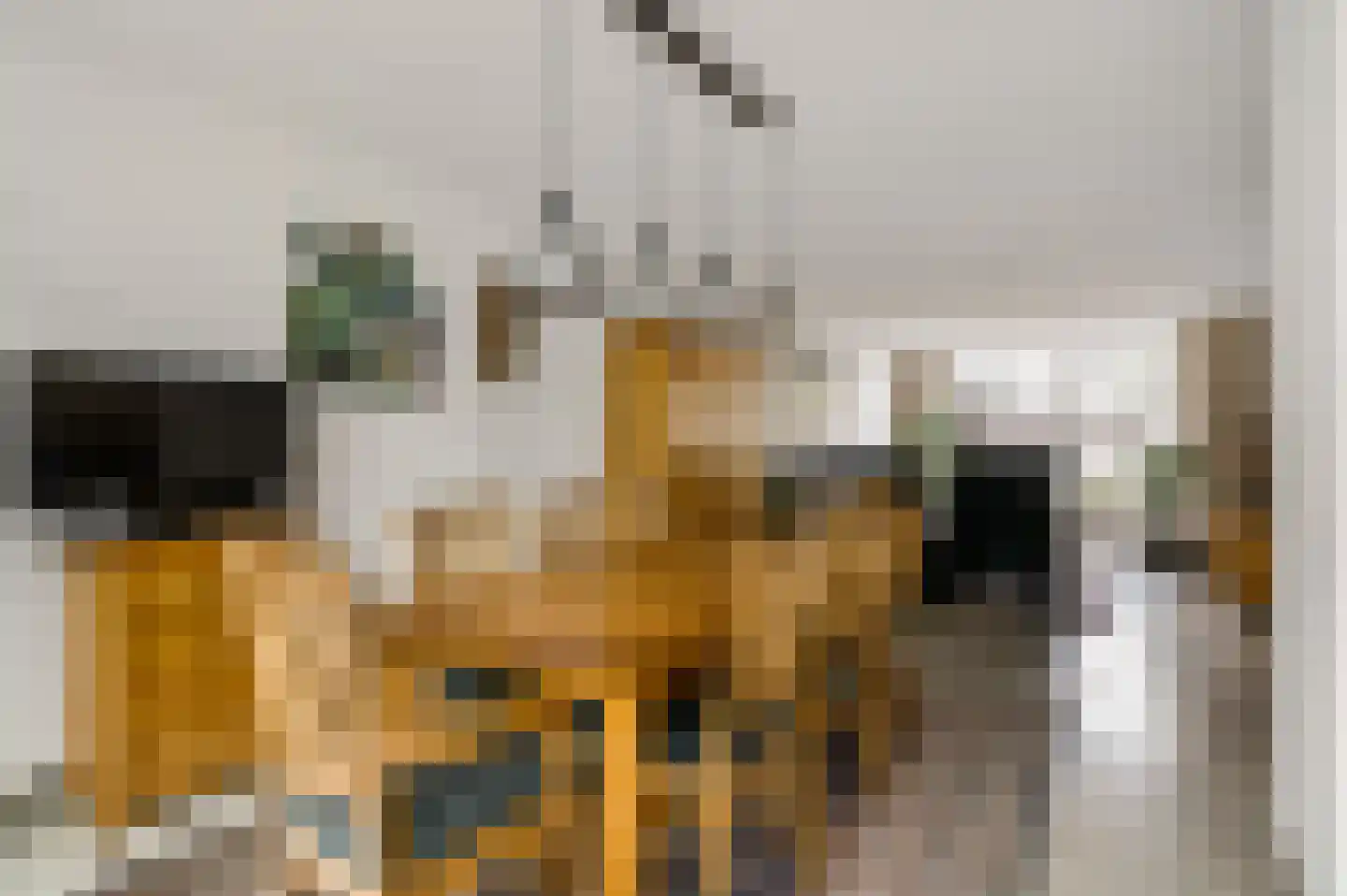 Achter de Smaalbrug 4 Horst thumbnail 18