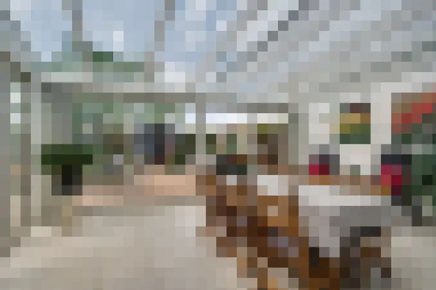 Achter de Smaalbrug 4 Horst thumbnail 23