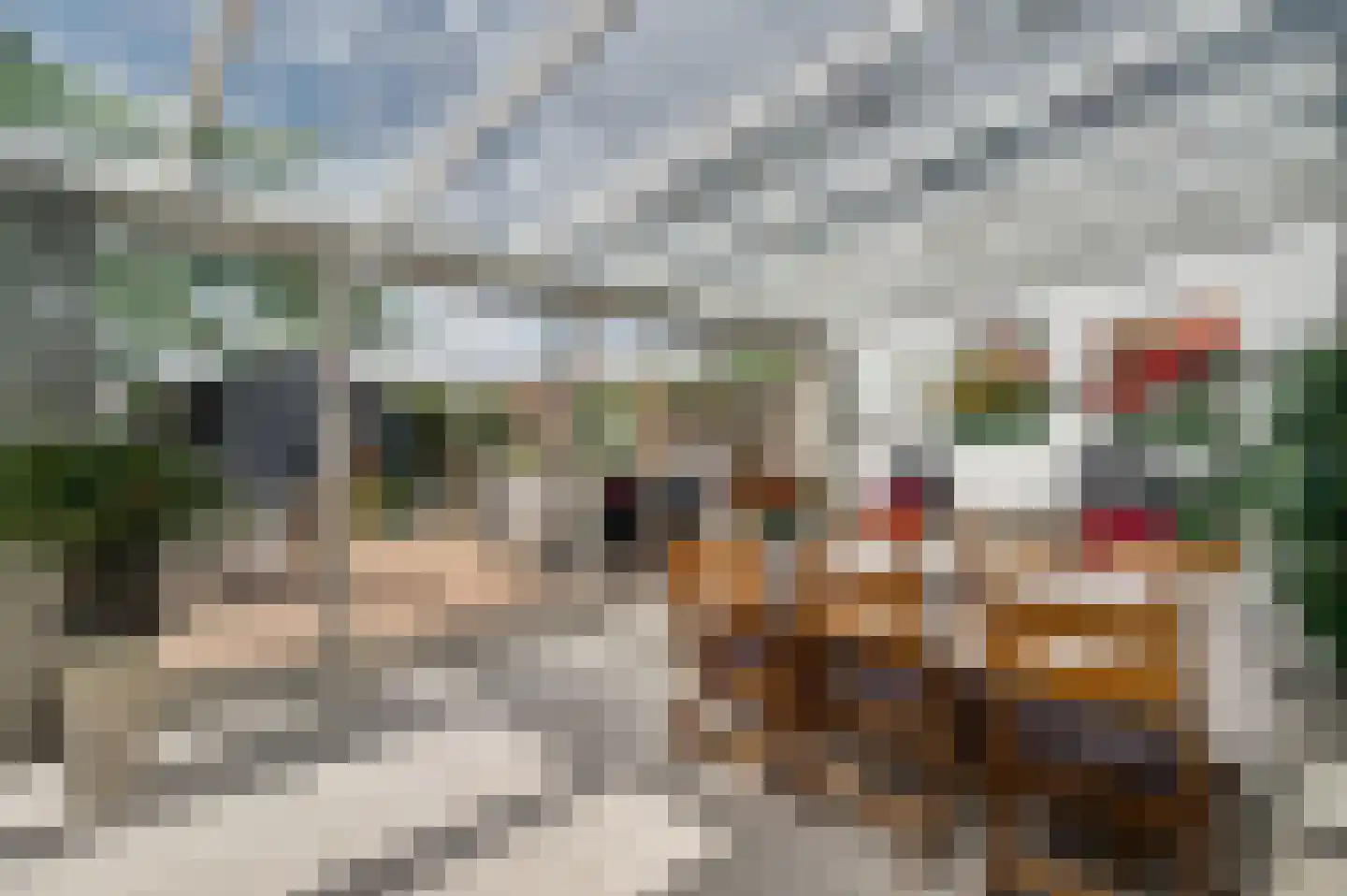 Achter de Smaalbrug 4 Horst thumbnail 24