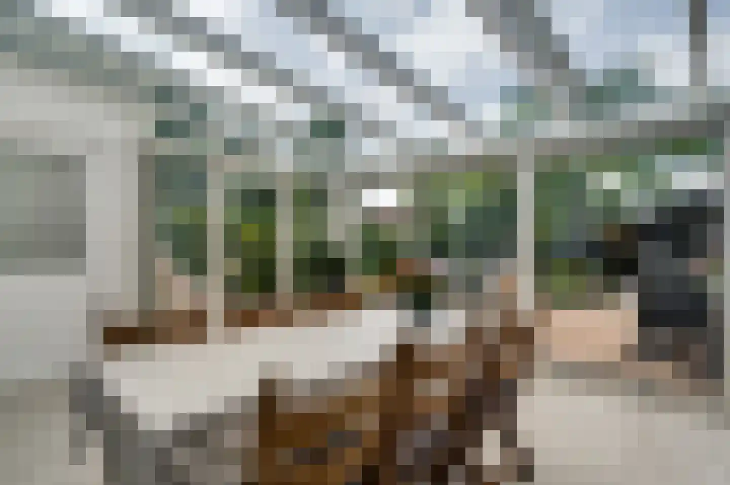 Achter de Smaalbrug 4 Horst thumbnail 25