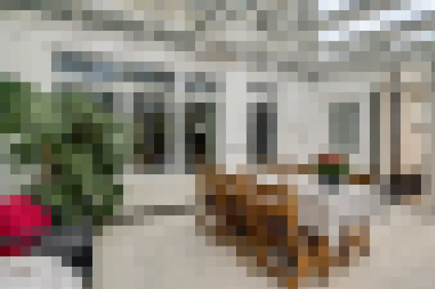 Achter de Smaalbrug 4 Horst thumbnail 26