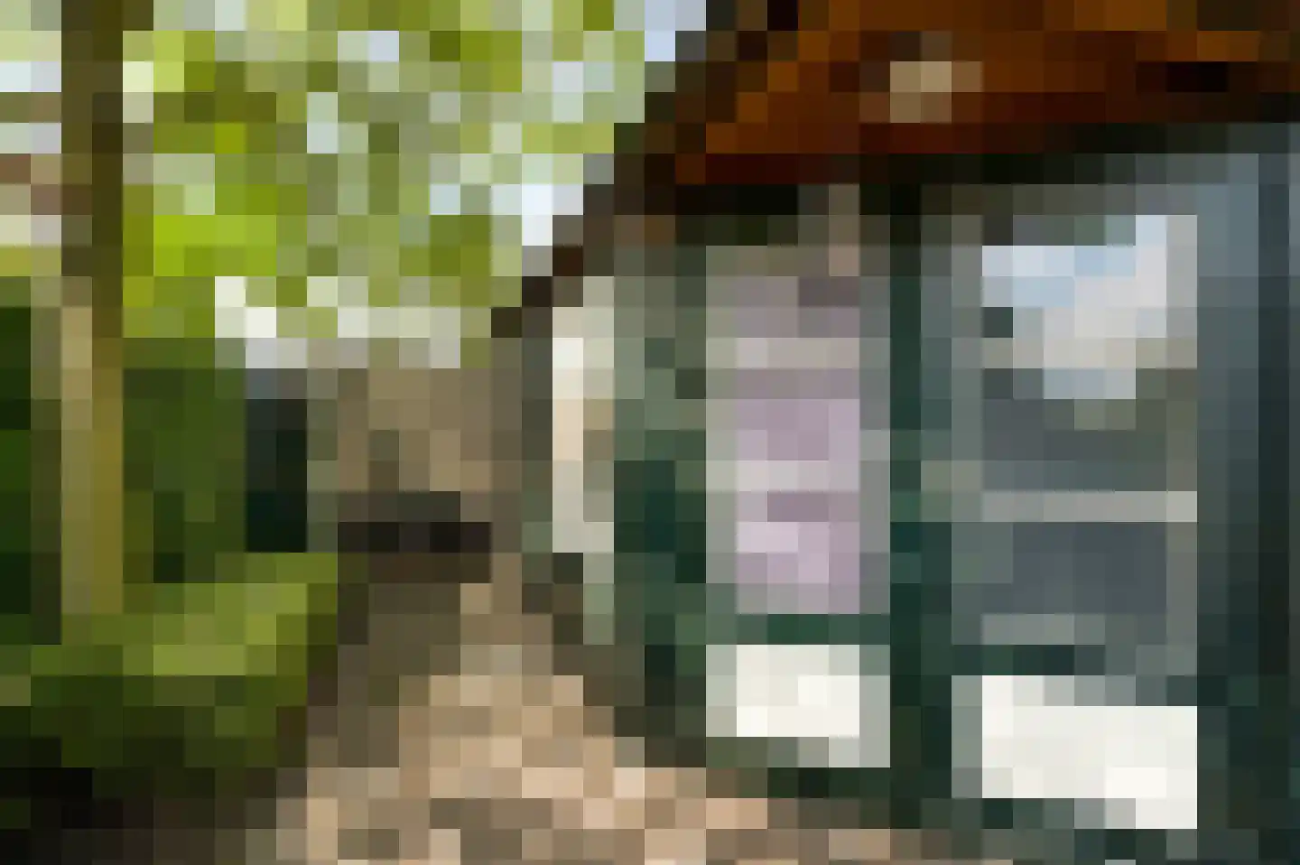 Achter de Smaalbrug 4 Horst thumbnail 43
