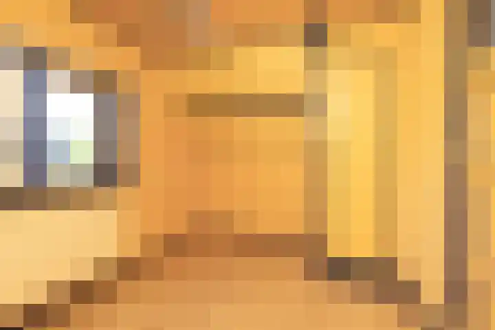 Achter de Smeden 10 Bolsward thumbnail 16
