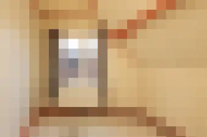 Achter de Smeden 10 Bolsward thumbnail 18