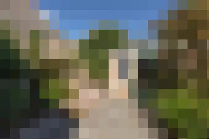 Achter de Smeden 10 Bolsward thumbnail 26