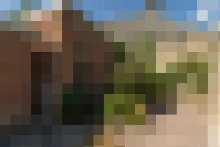 Achter de Smeden 10 Bolsward thumbnail 27