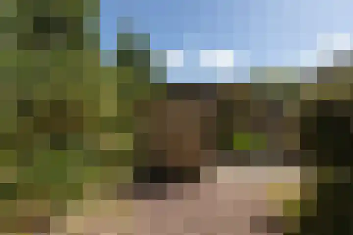 Achter de Smeden 10 Bolsward thumbnail 28