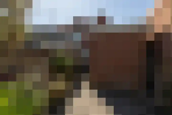 Achter de Smeden 10 Bolsward thumbnail 29