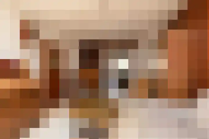 Achter de Smeden 10 Bolsward thumbnail 4