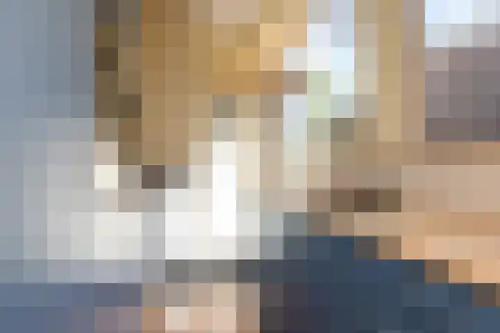 Achter de Smeden 10 Bolsward thumbnail 9