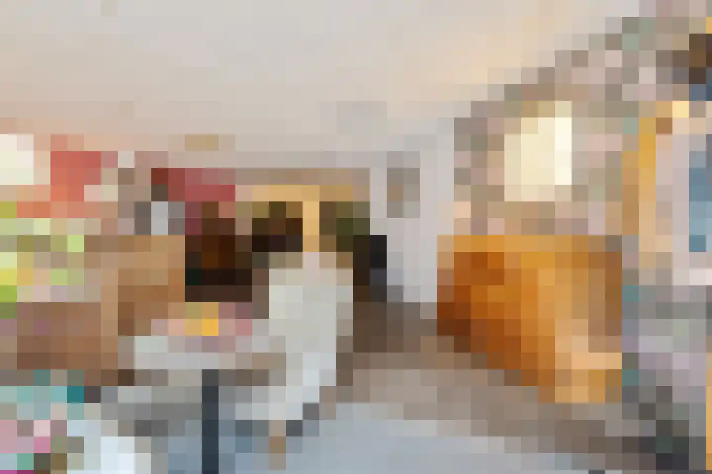 Achter de Smeden 4 Bolsward thumbnail 12