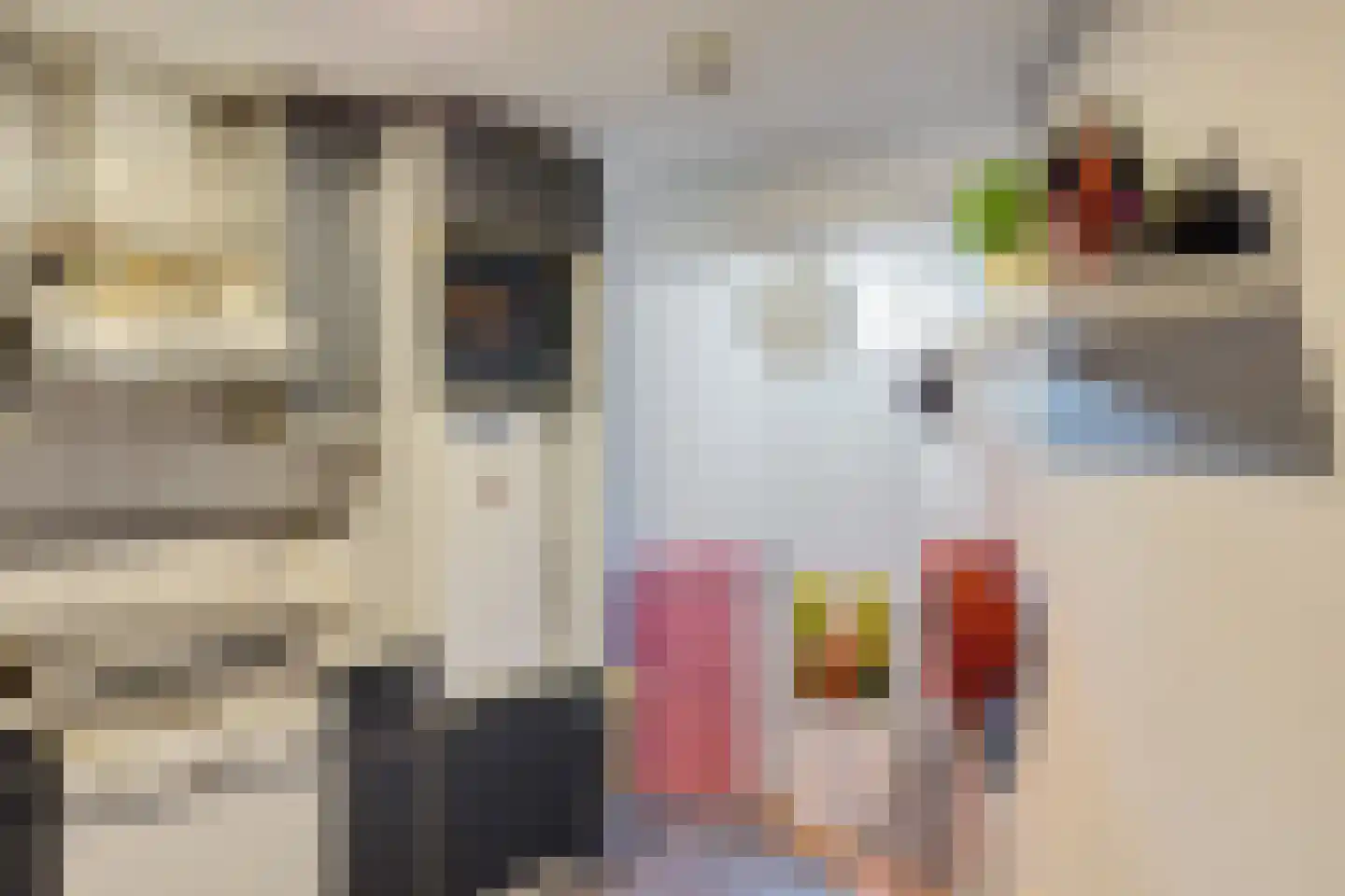 Achter de Smeden 4 Bolsward thumbnail 20