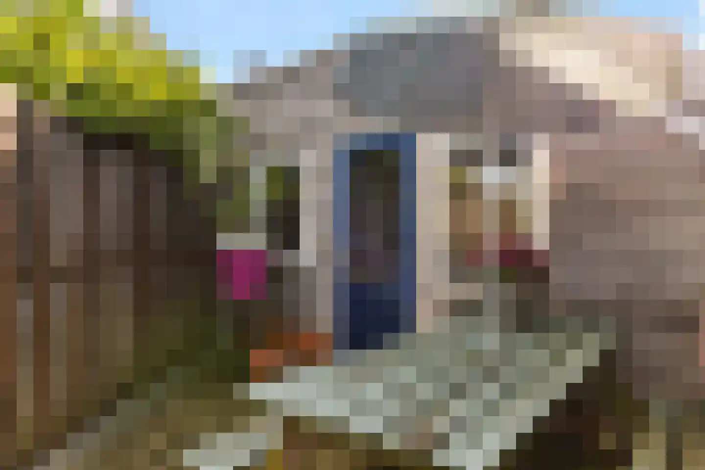 Achter de Smeden 4 Bolsward thumbnail 45
