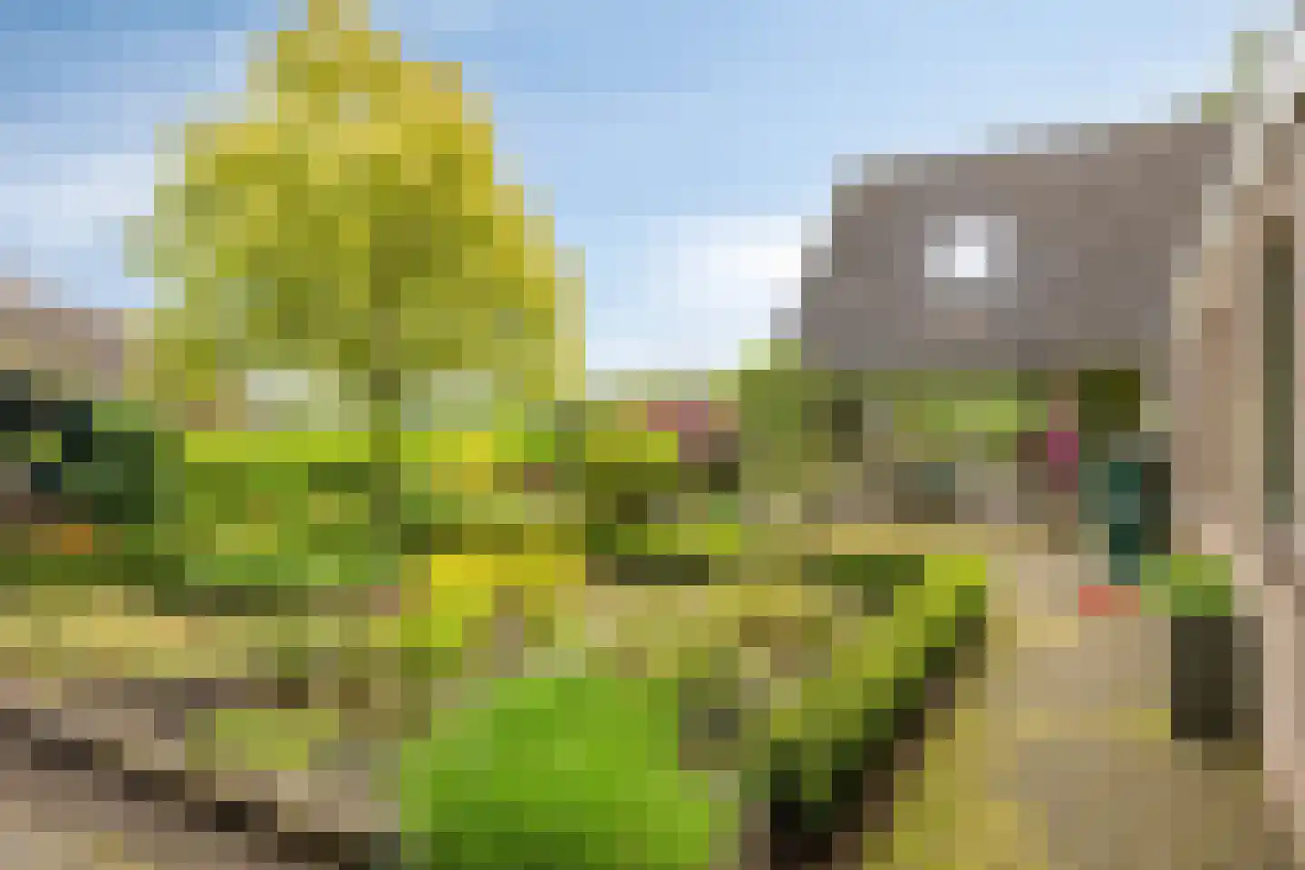 Achter de Smidse 15 Emmen thumbnail 38