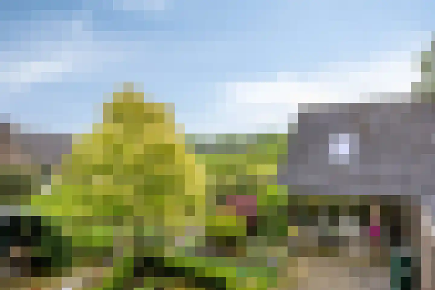 Achter de Smidse 15 Emmen thumbnail 39