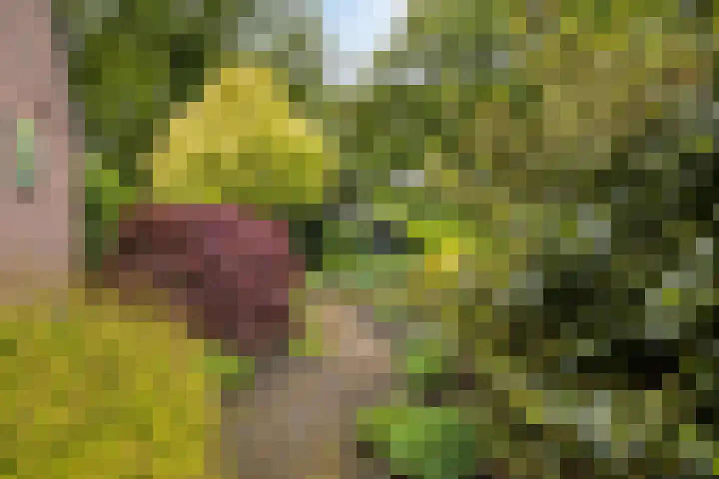 Achter de Smidse 15 Emmen thumbnail 40