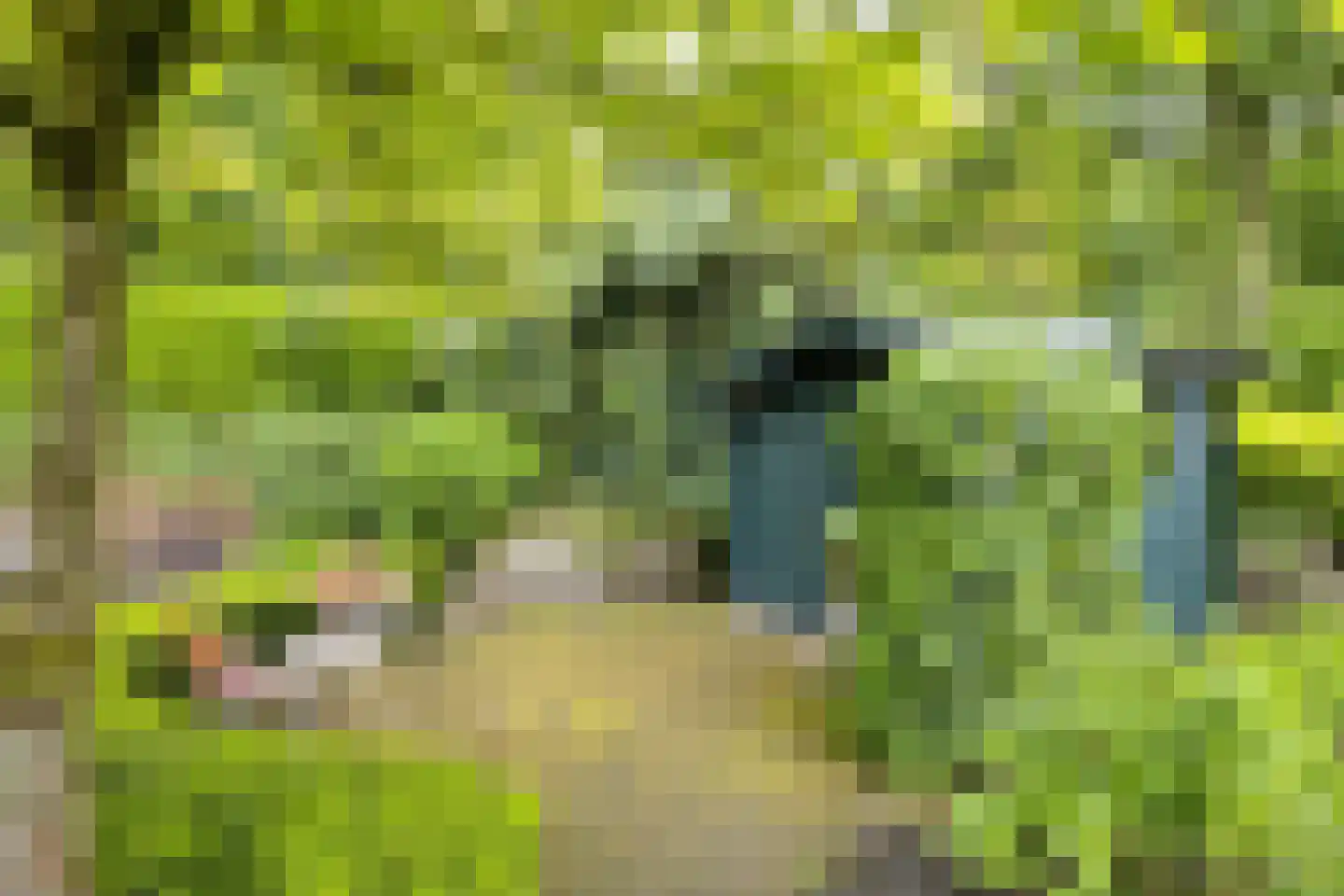 Achter de Smidse 15 Emmen thumbnail 41