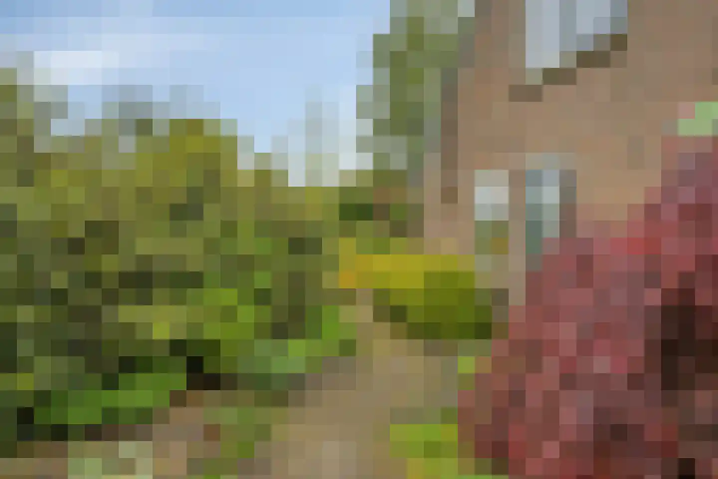 Achter de Smidse 15 Emmen thumbnail 42