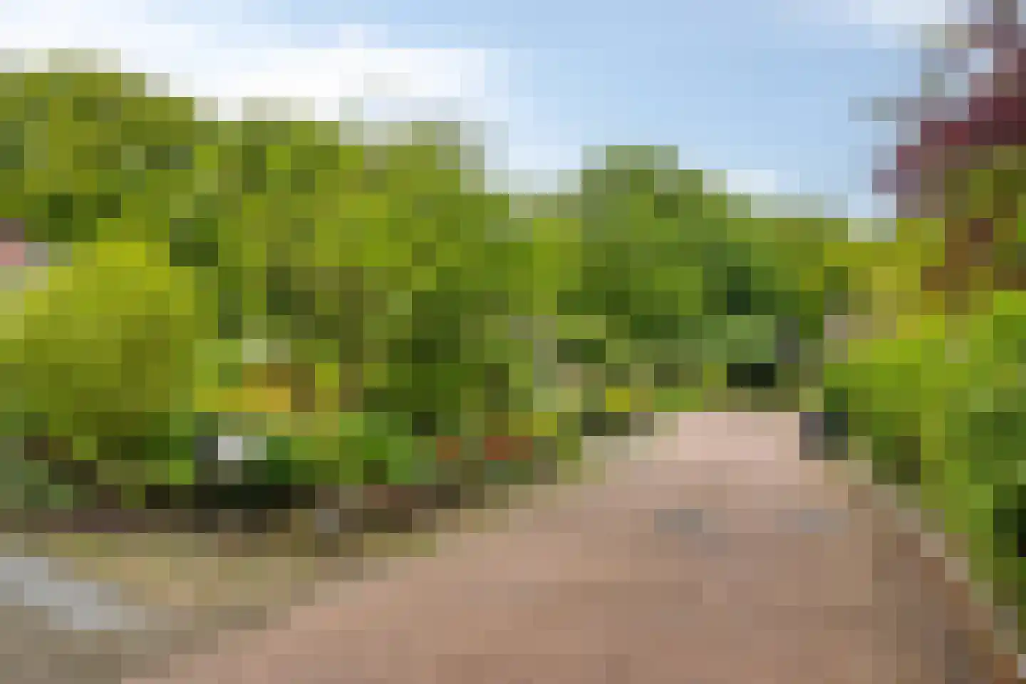 Achter de Smidse 15 Emmen thumbnail 47