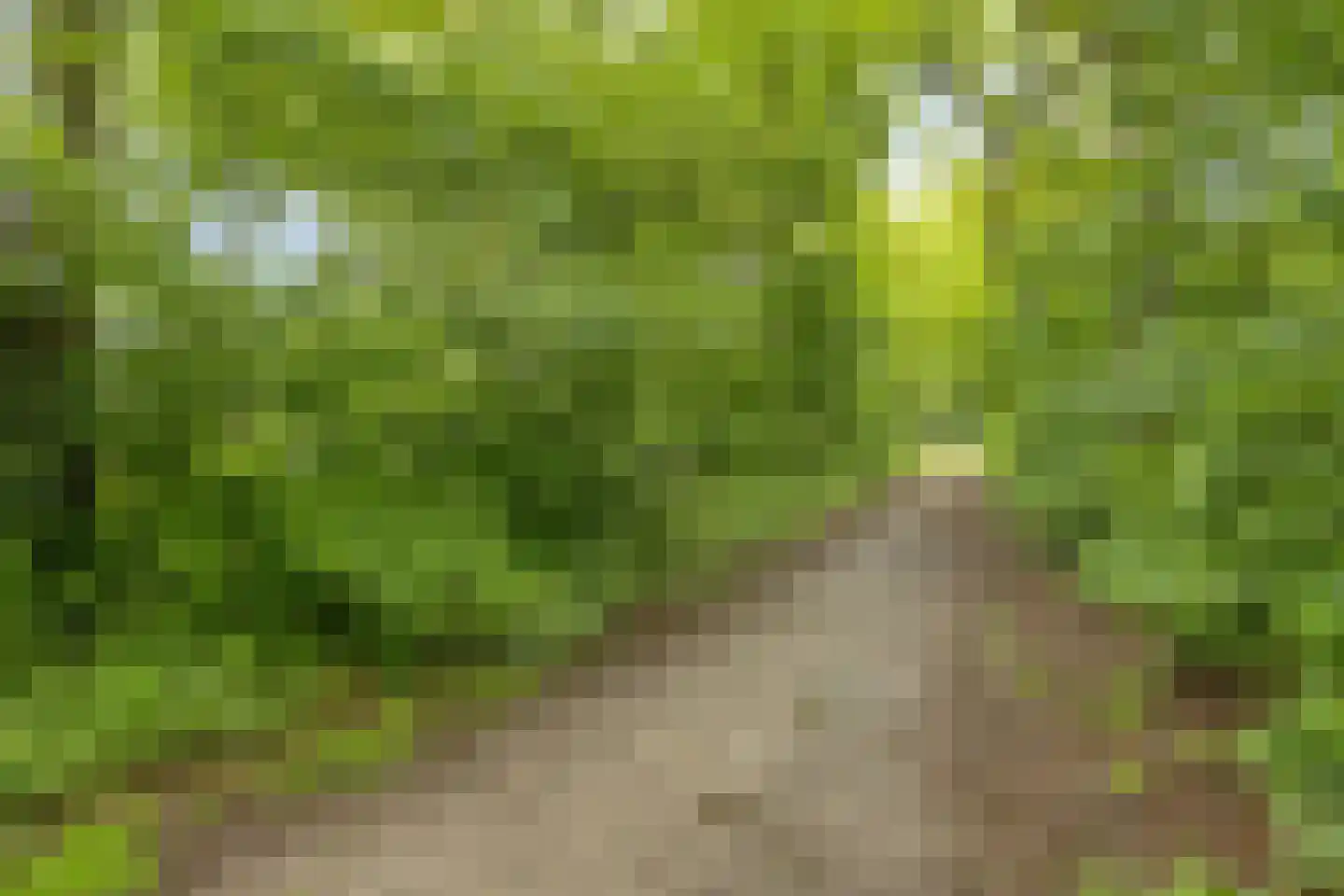 Achter de Smidse 15 Emmen thumbnail 49