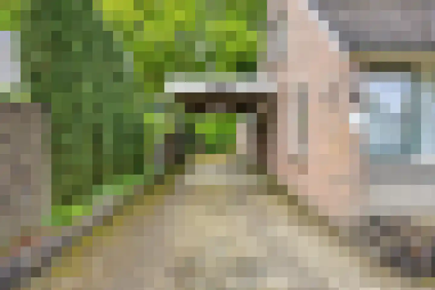 Achter de Smidse 15 Emmen thumbnail 5