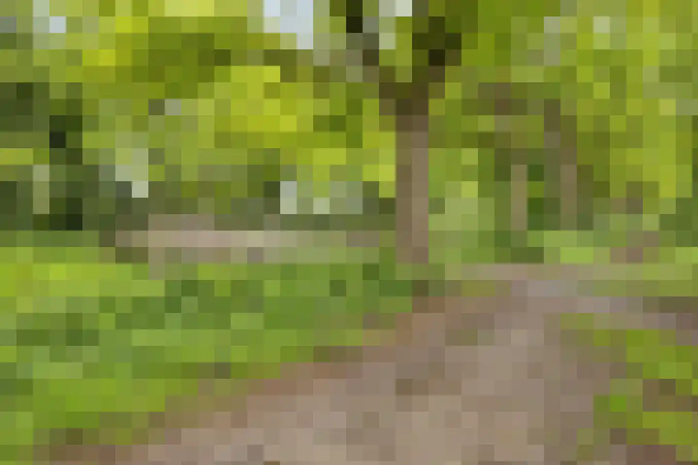 Achter de Smidse 15 Emmen thumbnail 50